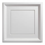 Genesis 2-ft x 2-ft Icon Coffer White PVC Drop Ceiling Tile (1-Pack, 4-sq ft / Case)