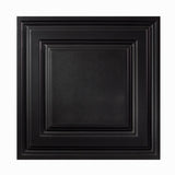 Genesis 2-ft x 2-ft Icon Relief Black PVC Drop Ceiling Tile (1-Pack, 4-sq ft / Case)