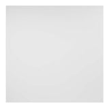 Genesis 2-ft x 2-ft Border Fill White PVC Drop Ceiling Tile (1-Pack, 4-sq ft / Case)