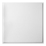 Genesis 2-ft x 2-ft Stucco Pro Revealed Edge White PVC Drop Ceiling Tile (1-Pack, 4-sq ft / Case)