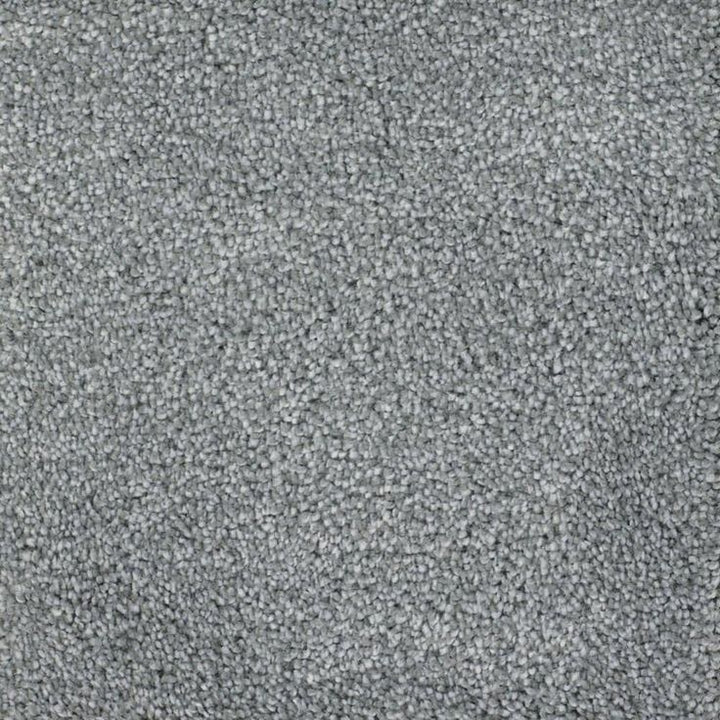STAINMASTER Signature Briar Patch Weathered Textured Carpet Sample (Interior)