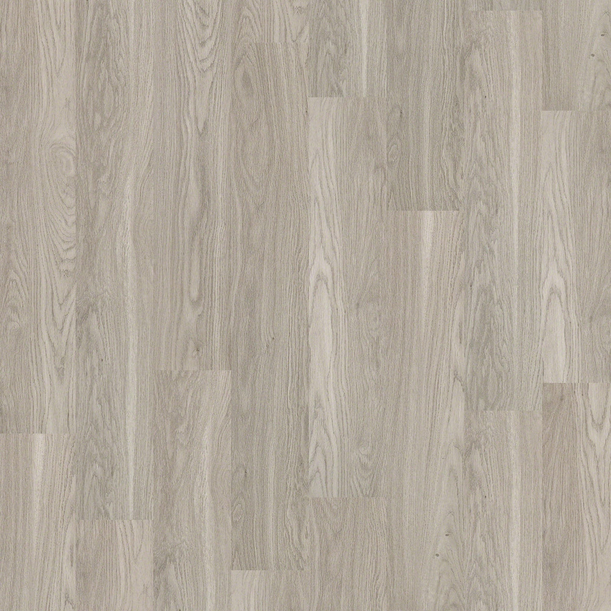 Shaw Triad Timberwolf Gray 12-mil x 7-in W x 48-in L Water Resistant Glue Down Luxury Vinyl Plank Flooring (34.98-sq ft/ Carton)