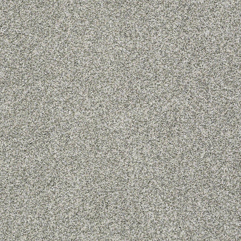 STAINMASTER PetProtect Baxter II Trixie Textured Indoor Carpet, 12-ft Roll Width