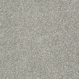 STAINMASTER PetProtect Baxter II Trixie Textured Indoor Carpet, 12-ft Roll Width