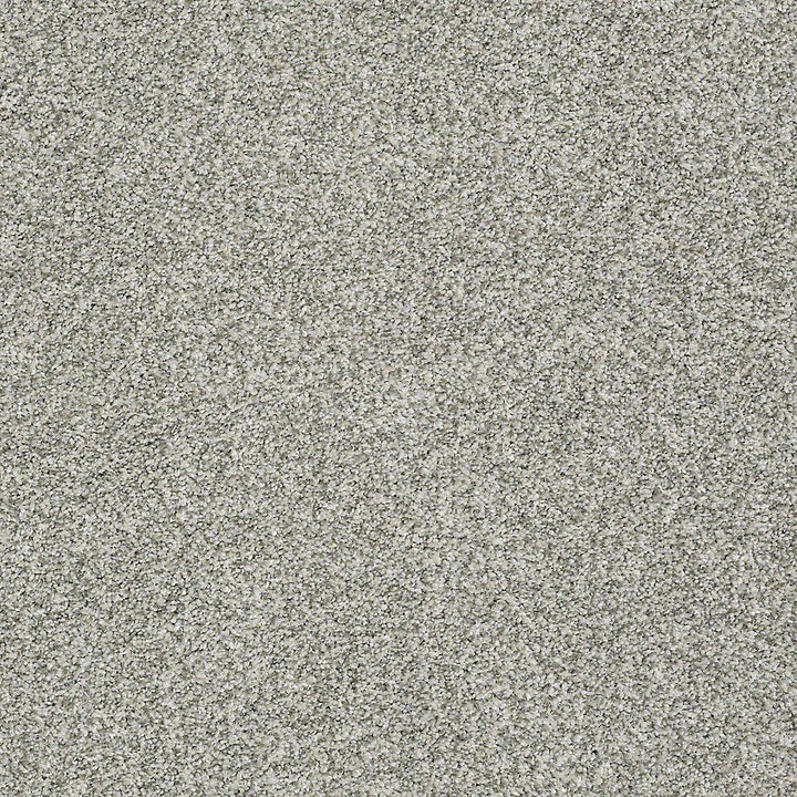 STAINMASTER PetProtect Baxter II Trixie Textured Indoor Carpet, 12-ft Roll Width