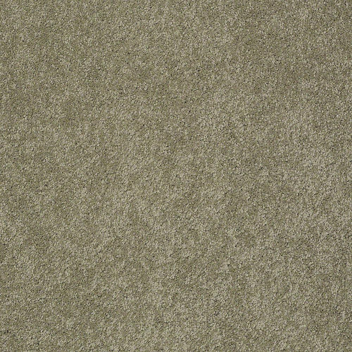 STAINMASTER PetProtect Baxter I Buddy Textured Indoor Carpet, 12-ft Roll Width