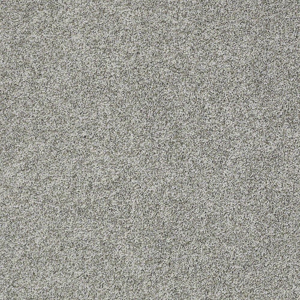 STAINMASTER PetProtect Baxter I Roscoe Textured Indoor Carpet, 12-ft Wide
