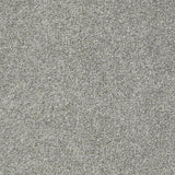 STAINMASTER PetProtect Baxter I Roscoe Textured Indoor Carpet, 12-ft Wide