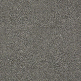STAINMASTER PetProtect Baxter II Schnauzer Textured Carpet (Indoor) - 12-ft Width