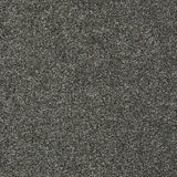 STAINMASTER PetProtect Baxter I Charlie Textured Carpet (Indoor)