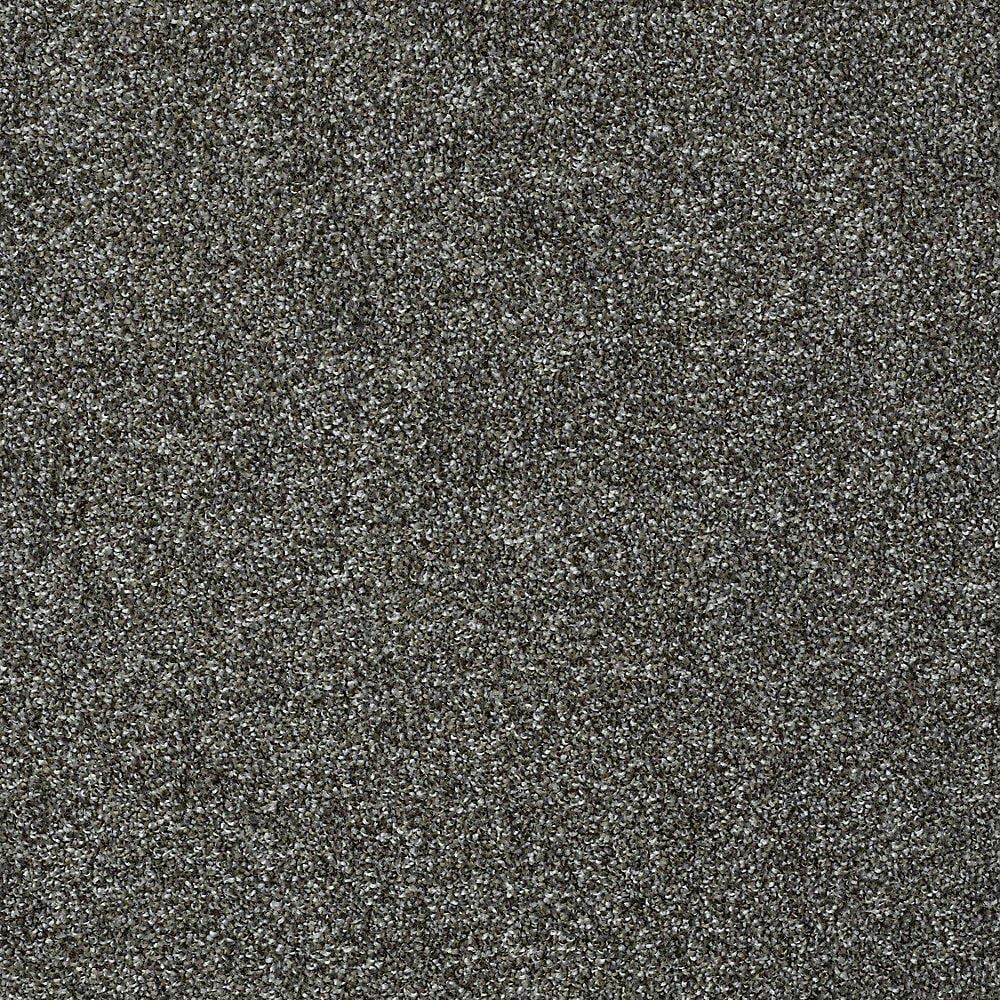 STAINMASTER PetProtect Baxter II Roll Over Textured Carpet (Indoor)