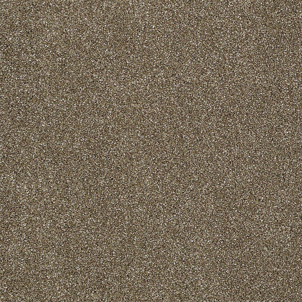 STAINMASTER PetProtect Baxter IV Dachshund Textured Carpet (Indoor, 12-ft Roll Width)
