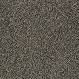 STAINMASTER PetProtect Baxter I Doberman Textured Carpet (Indoor) - 12-ft Roll Width