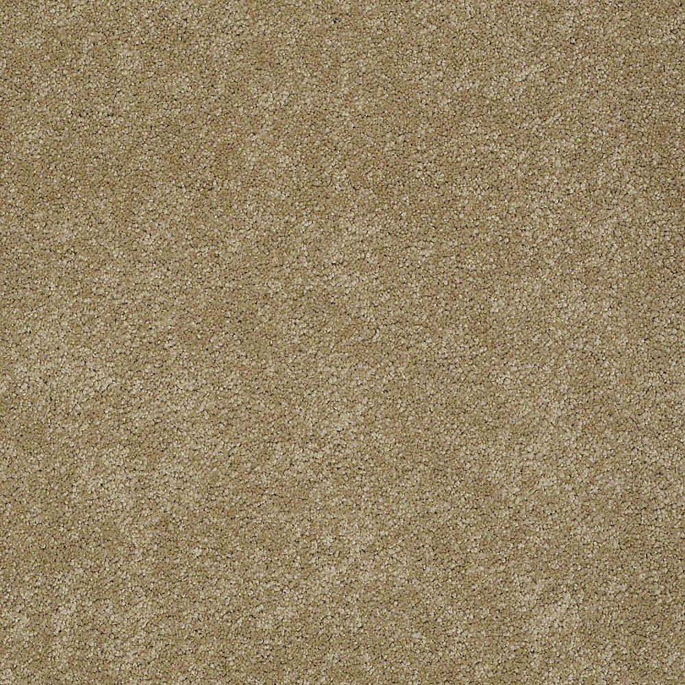 STAINMASTER PetProtect Baxter I Molly Textured Carpet (Indoor, 12-ft Roll Width)