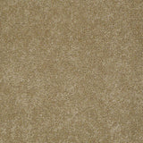 STAINMASTER PetProtect Baxter I Molly Textured Carpet (Indoor, 12-ft Roll Width)