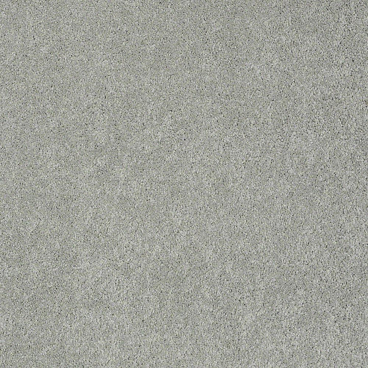 STAINMASTER PetProtect Baxter II Bobo Textured Carpet (Indoor)