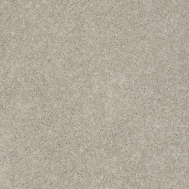 STAINMASTER PetProtect Baxter III Harley Textured Indoor Carpet, 12-ft Roll Width