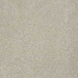 STAINMASTER PetProtect Baxter III Marmaduke Textured Indoor Carpet - 12-ft Roll Width