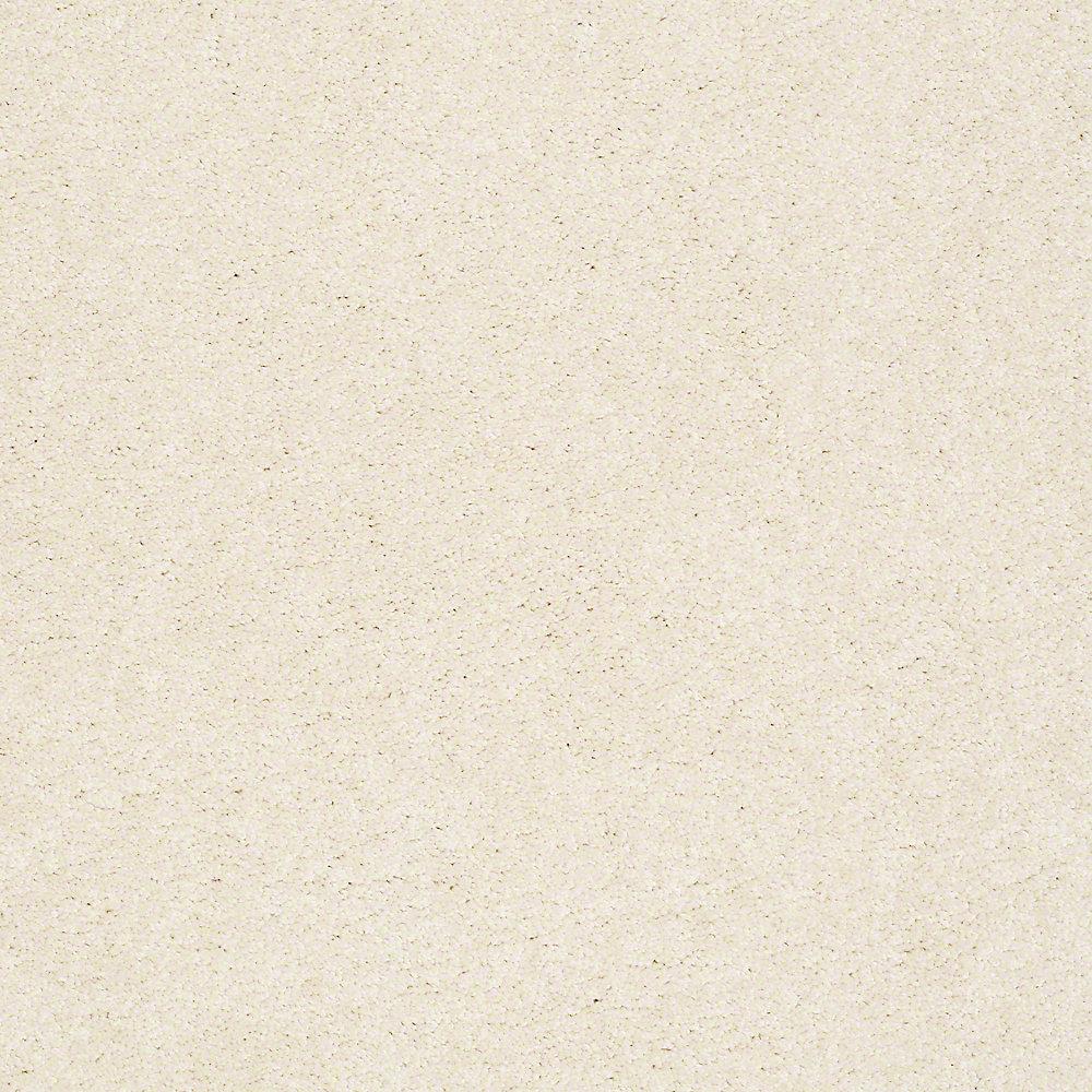 STAINMASTER PetProtect Baxter I Lucy Textured Indoor Carpet, 12-ft Roll Width