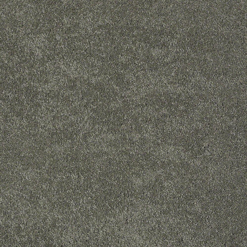 STAINMASTER PetProtect Baxter I Winston Textured Carpet (Indoor) - 12-ft Roll Width