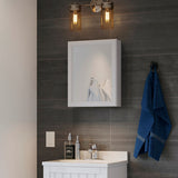 Project Source 15.25-in x 19.25-in Surface Mount White Mirrored Medicine Cabinet