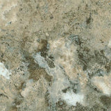 042369845533xl_-470844718.jpg