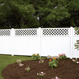 Freedom Wellington 6-ft H x 6-ft W White Vinyl Lattice-top Fence Panel (Assembled)