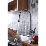 Orbital Single-Handle Pull-Down Sprayer Kitchen Faucet in Polished Chrome - Super Arbor