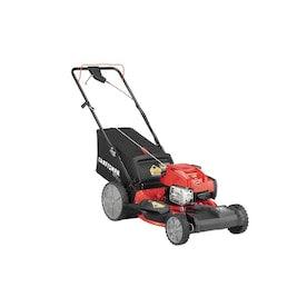 CRAFTSMAN M230 163-cc 21-in Self-Propelled Gas Push Lawn Mower with Briggs & Stratton Engine - Super Arbor