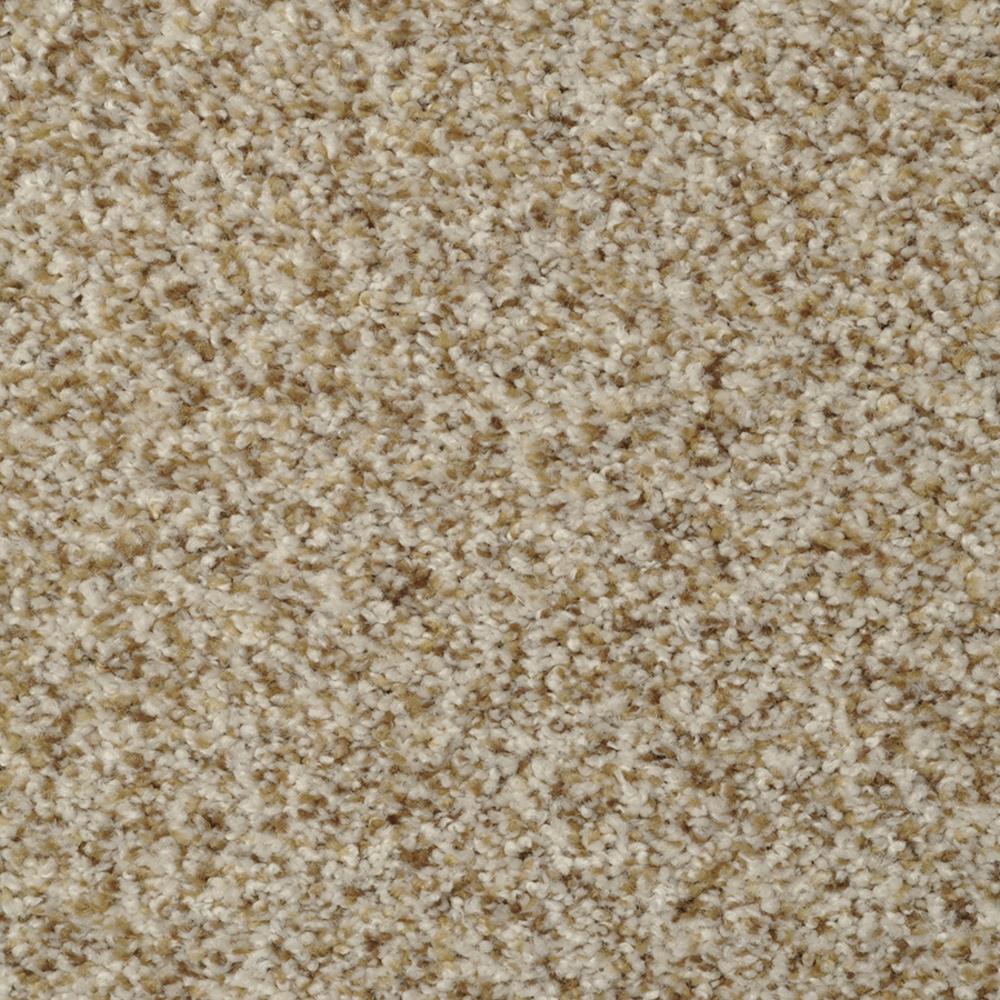 STAINMASTER Signature Cinema Oyster Bay Textured Carpet Sample, 8-in x 8-in (Interior)