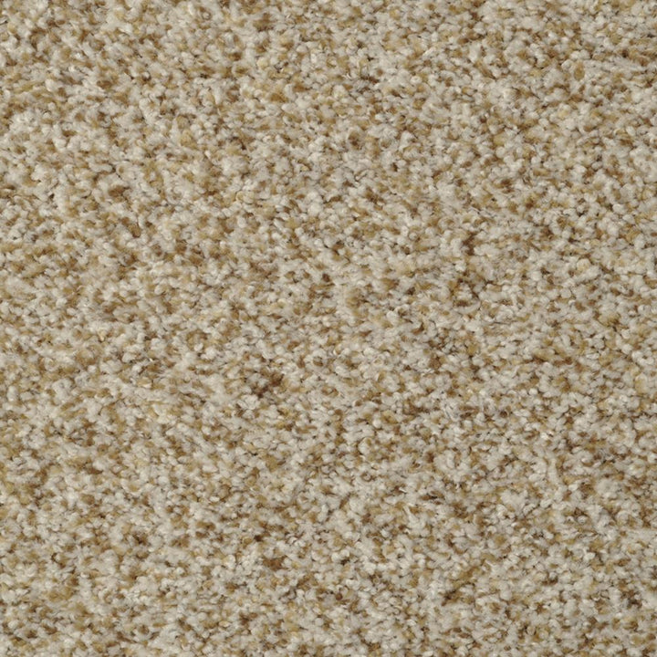 STAINMASTER Signature Cinema Oyster Bay Textured Carpet Sample, 8-in x 8-in (Interior)