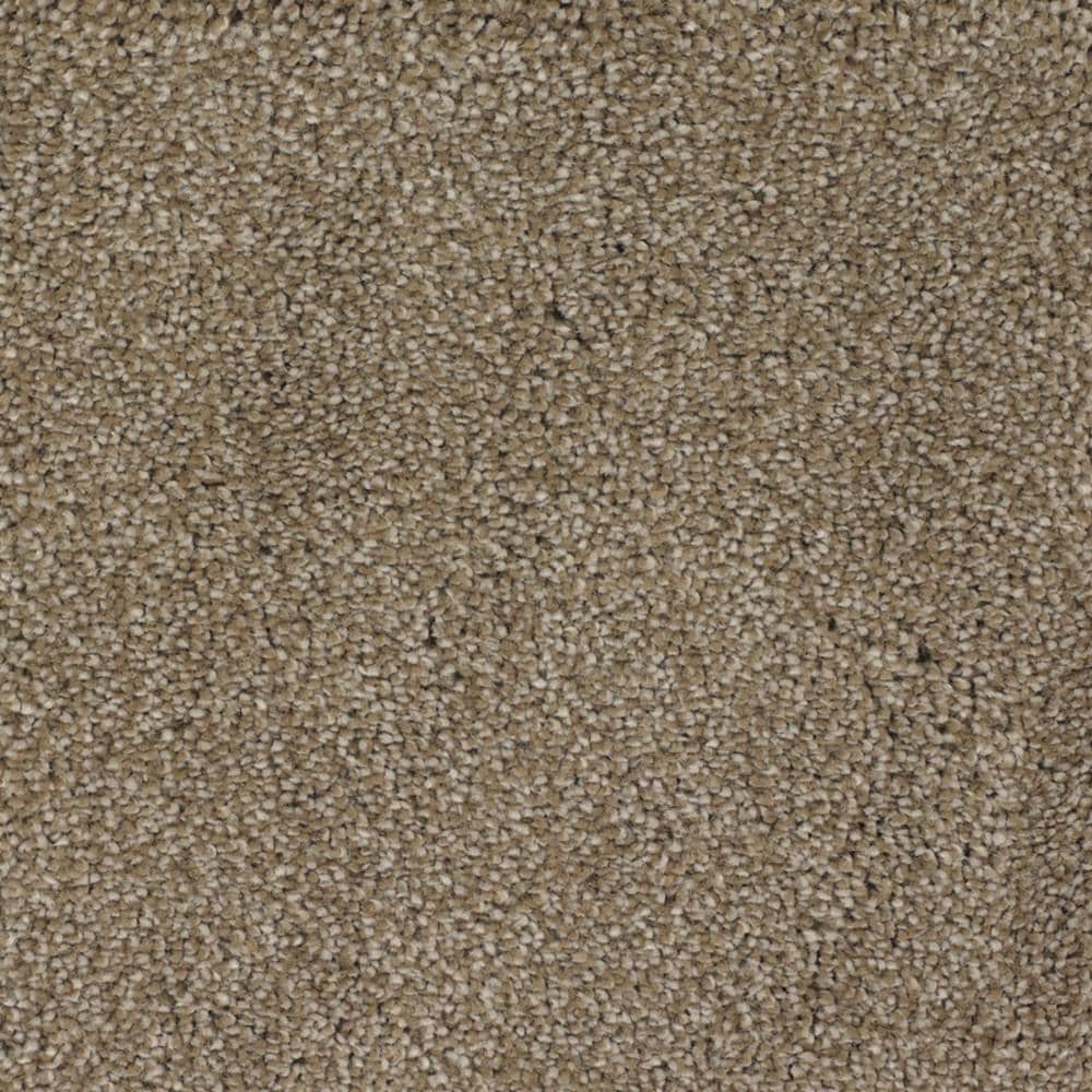 STAINMASTER Signature Briar Patch Donner Textured Indoor Carpet – 12-ft Roll Width, 46-oz Face Weight