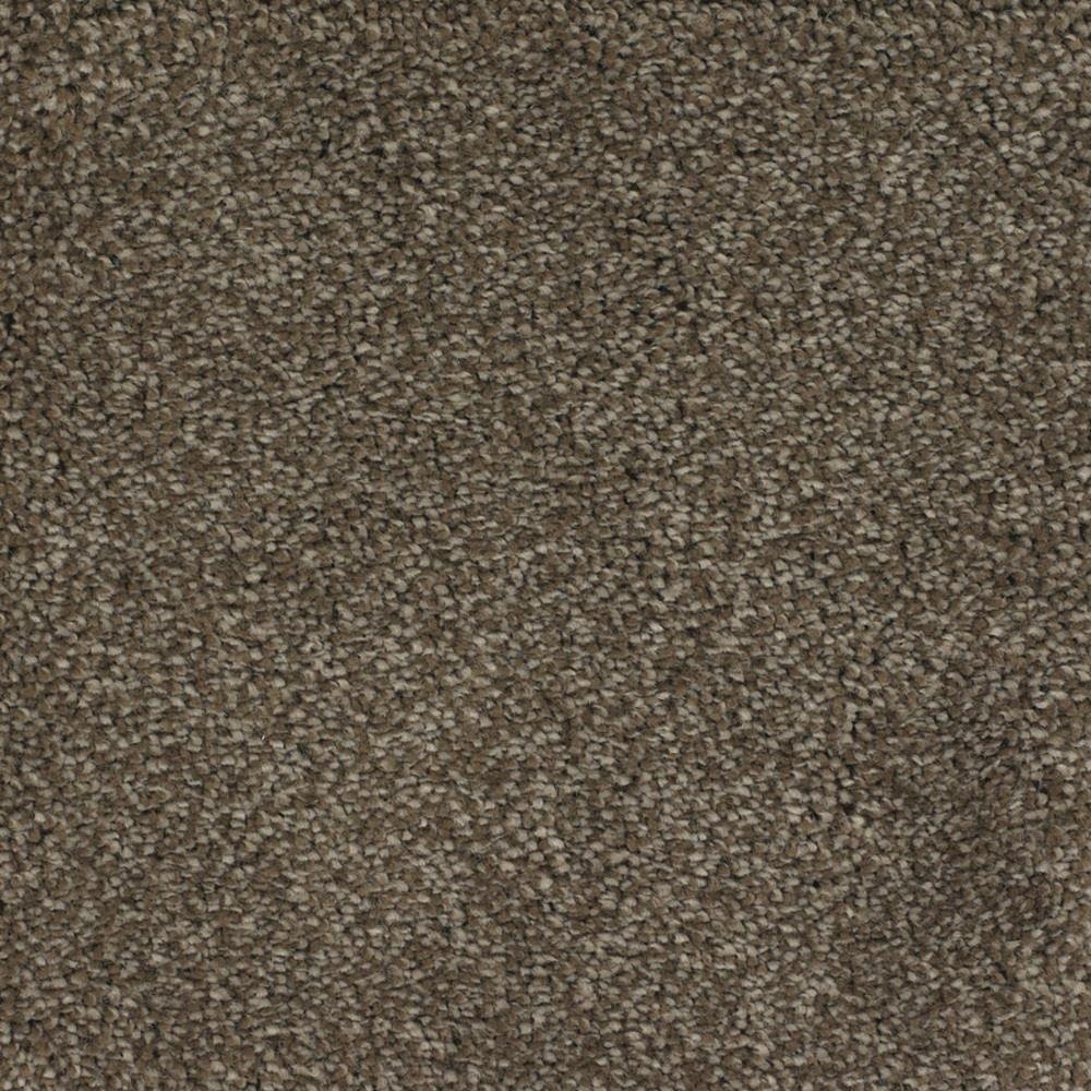 STAINMASTER Signature Briar Patch Kinston Textured Carpet Sample (Interior)