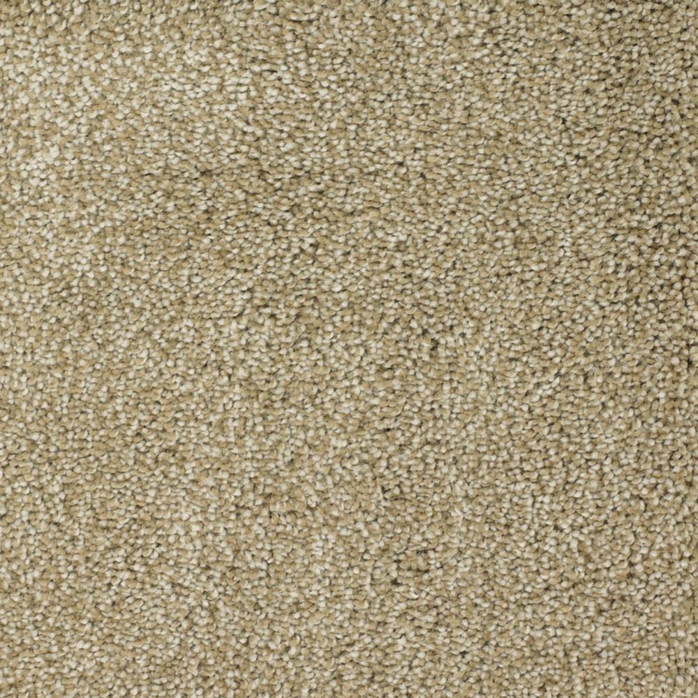 STAINMASTER Signature Pleasant Point Weathered Textured Carpet Sample, 8-in x 8-in (Interior)