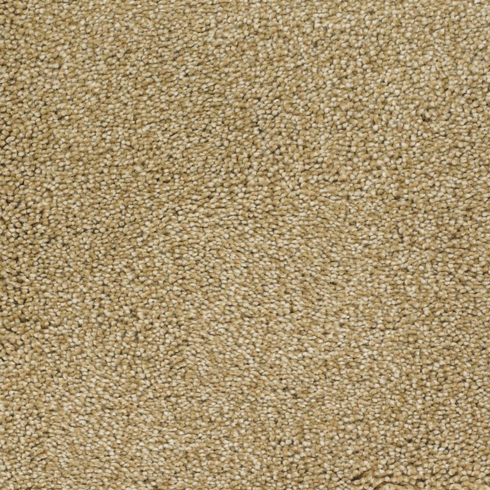 STAINMASTER Signature Briar Patch Chinchilla Textured Carpet (Indoor)