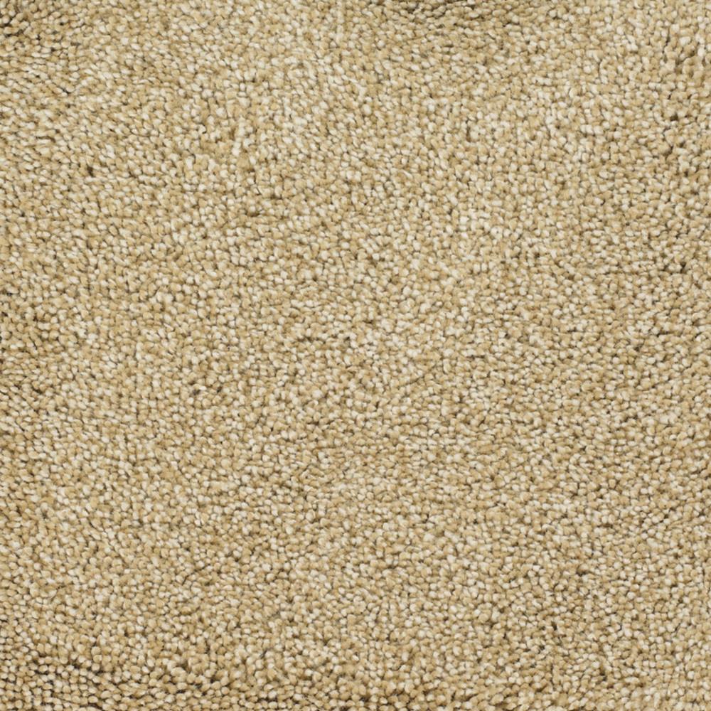 STAINMASTER Signature Pleasant Point Horseshoe Textured Carpet Sample (Interior) — 8-in x 8-in
