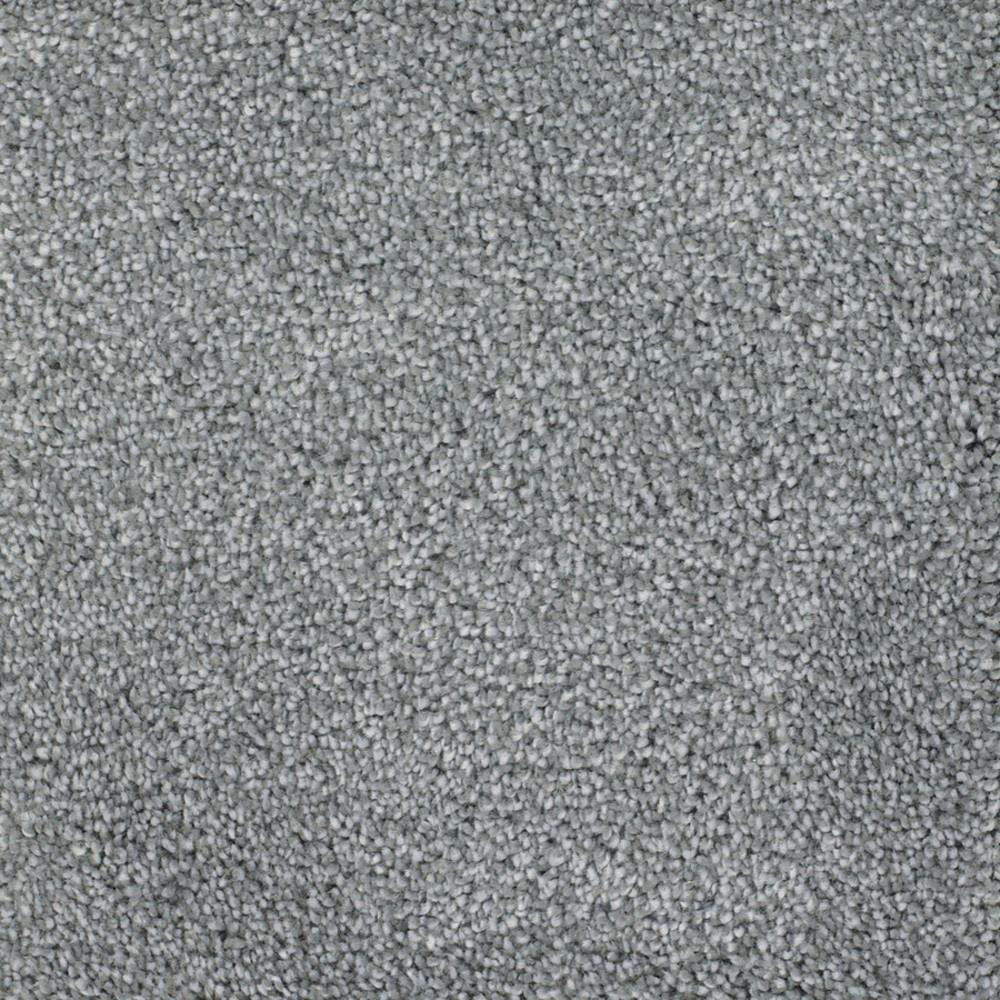 STAINMASTER Signature Briar Patch Meritage Textured Carpet Sample (Interior, 8-in x 8-in)