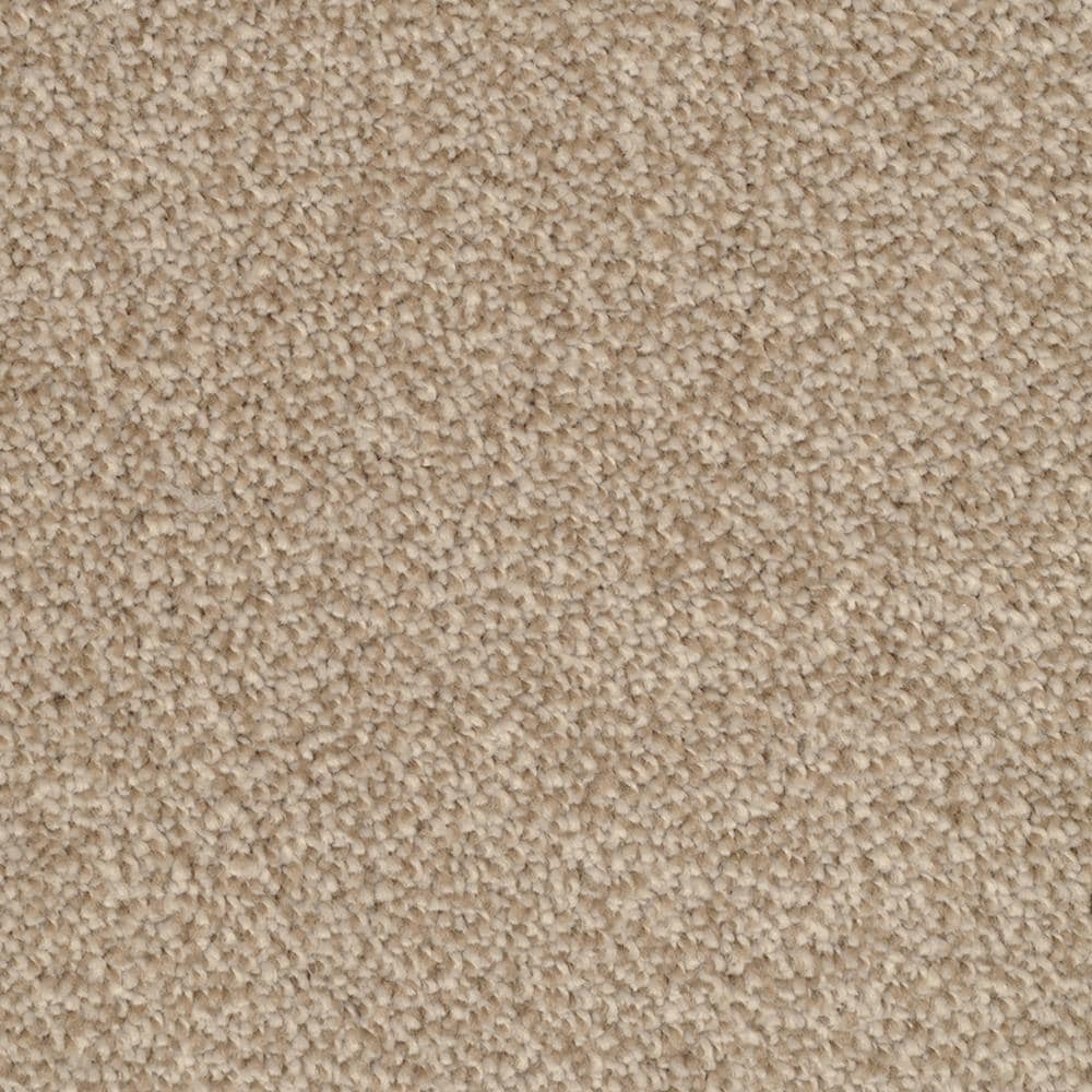 STAINMASTER Signature Shafer Valley Reverse Textured Carpet Sample, 8-in x 8-in (Interior)