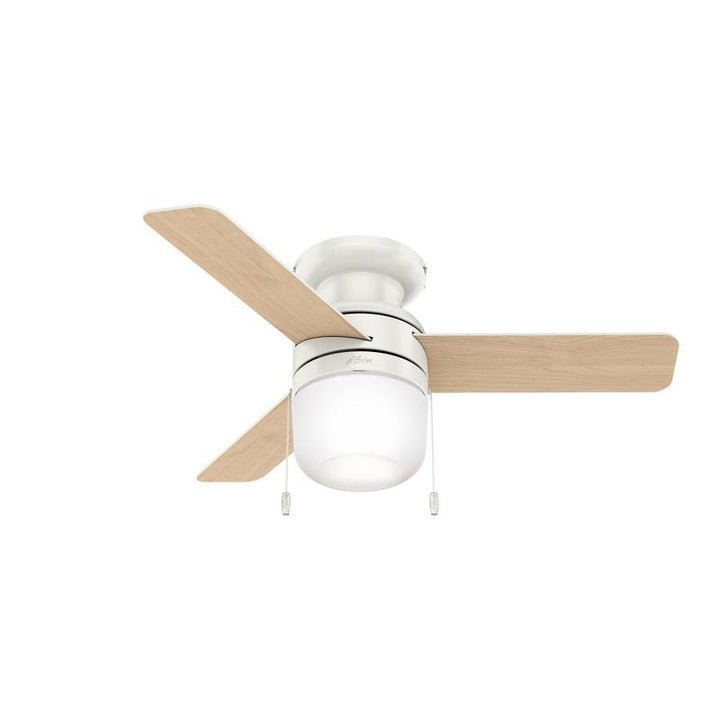 049694595713_12007865_-1483490986.jpg