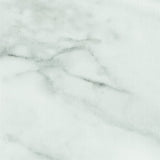 Armstrong Flooring Crescendo 12-in x 12-in Groutable Camaberley Limestone Peel-and-Stick Vinyl Tile
