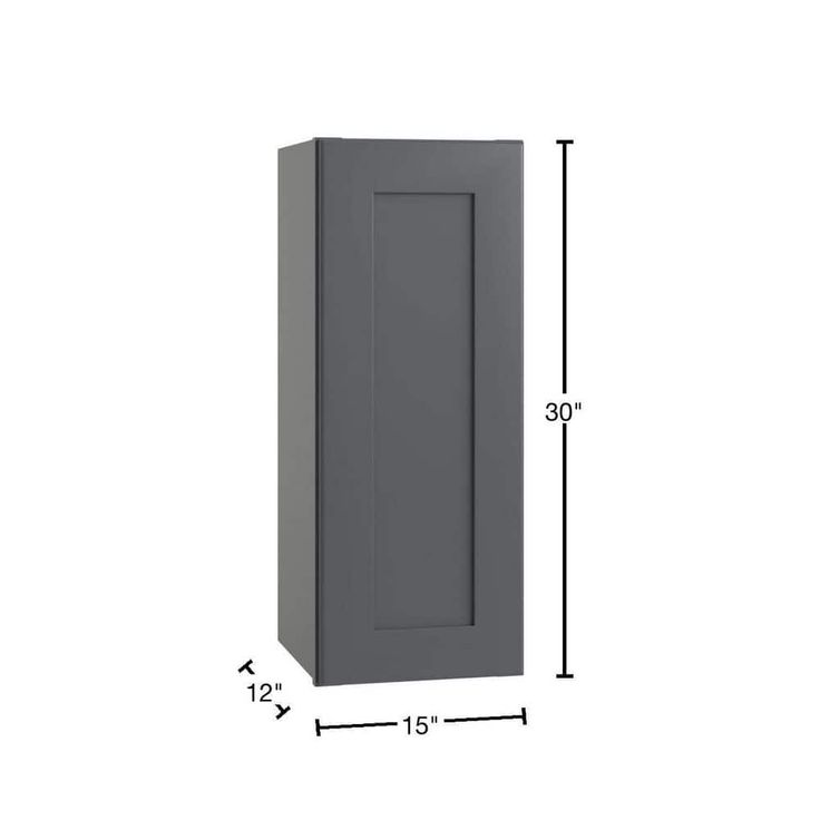 Home Decorators Collection Newport 15 in. W x 12 in. D x 30 in. H Assembled Plywood Wall Kitchen Cabinet in Deep Onyx with Soft Close