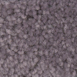 STAINMASTER Essentials Intuition III 12-ft Lavender Textured Carpet Sample (Interior)