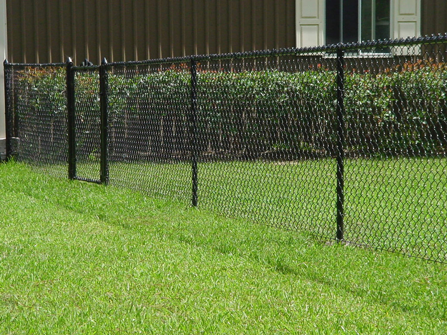 3-ft H x 50-ft L 9-Gauge Vinyl Coated Steel Chain Link Fence Fabric with Mesh Size 2-in