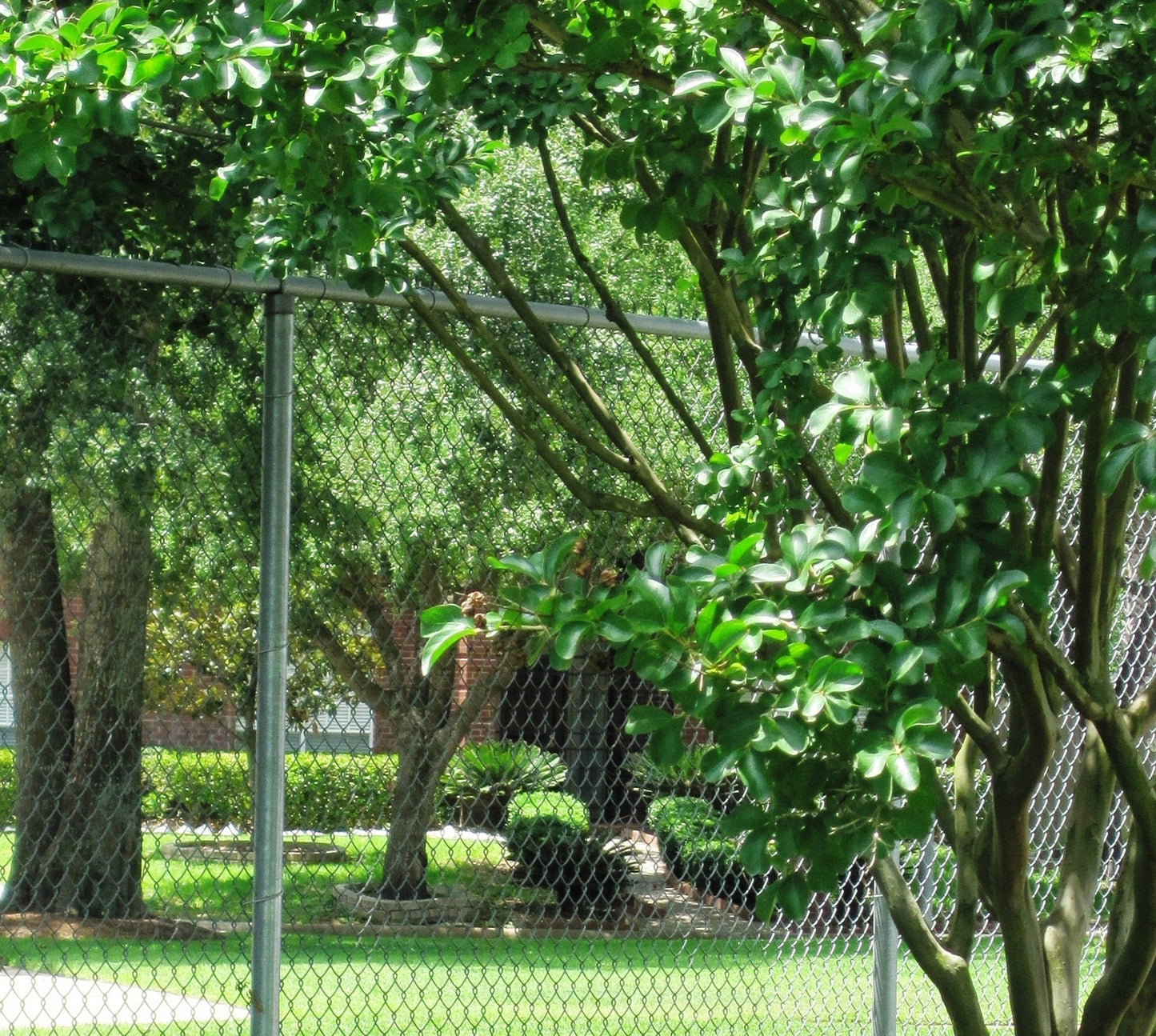5-ft H x 50-ft W 11.5-Gauge Galvanized Steel Chain Link Fence Fabric with Mesh Size 2.375-in