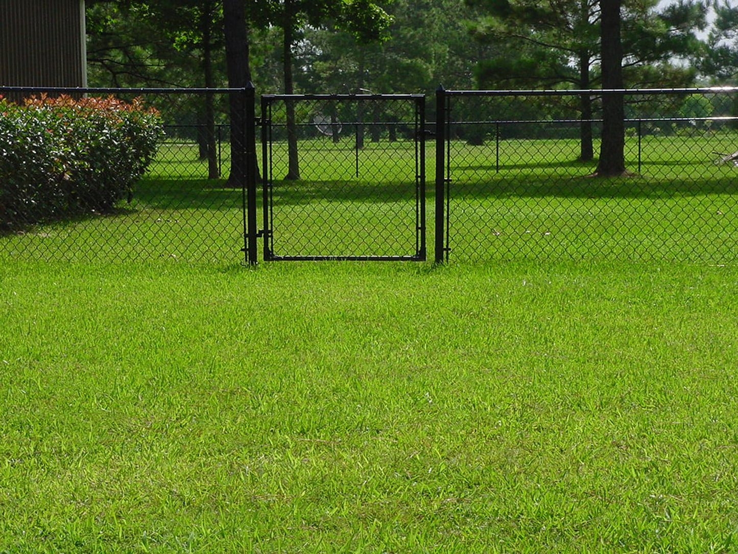 4-ft H x 4-ft W Vinyl Coated Vinyl-coated Steel Walk-thru Chain Link Fence Gate with Mesh Size 2-in