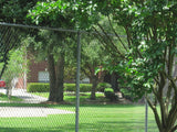 8-ft H x 1-5/8-in W Silver Galvanized Steel Security Line Fence Post