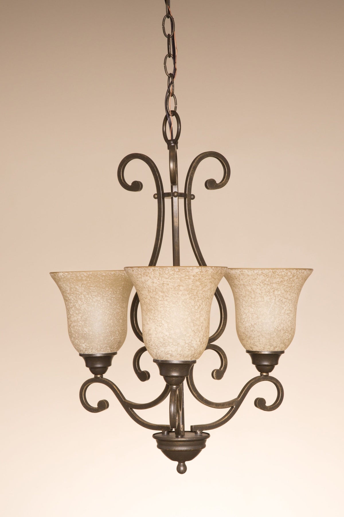 Portfolio Linkhorn 3-Light Iron Stone Vintage Chandelier, 24.5-in H x 20-in Dia