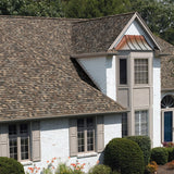 Owens Corning TruDefinition Duration Designer Architectural Roof Shingles, Sand Dune — Algae Resistant, 32.8-sq ft per Bundle