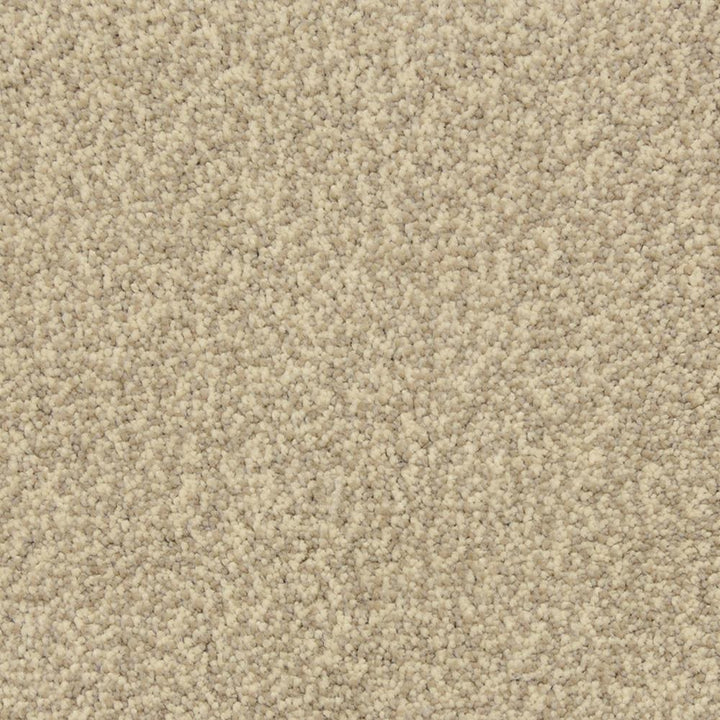 STAINMASTER PetProtect Entranced Cobblestone Textured Carpet Sample (Interior)