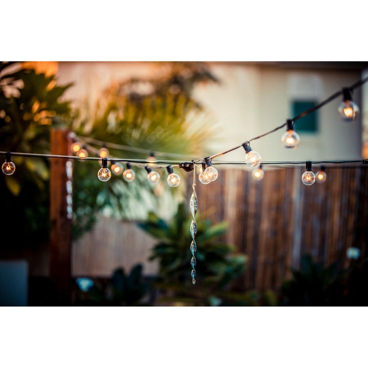 Indoor and Outdoor 50 ft. Black Warm White LED Plug-in String Light, 50-Light Bulbs Included